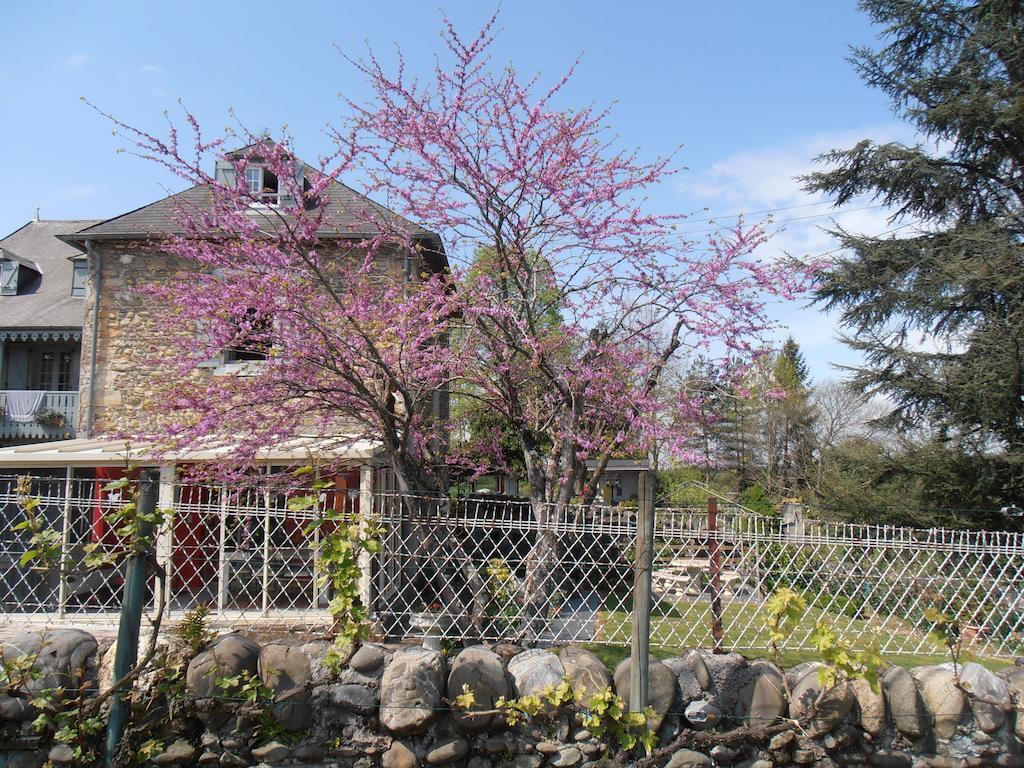 Gite Tuyaret Oloron-Sainte-Marie Buitenkant foto
